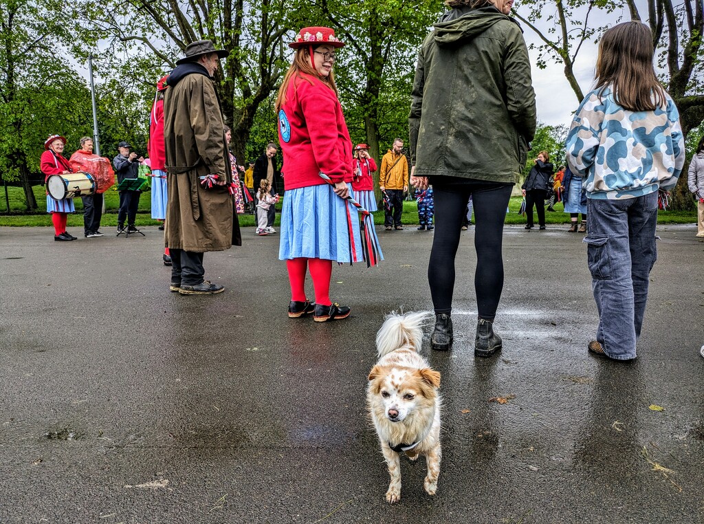 Soggy May Fair  by boxplayer