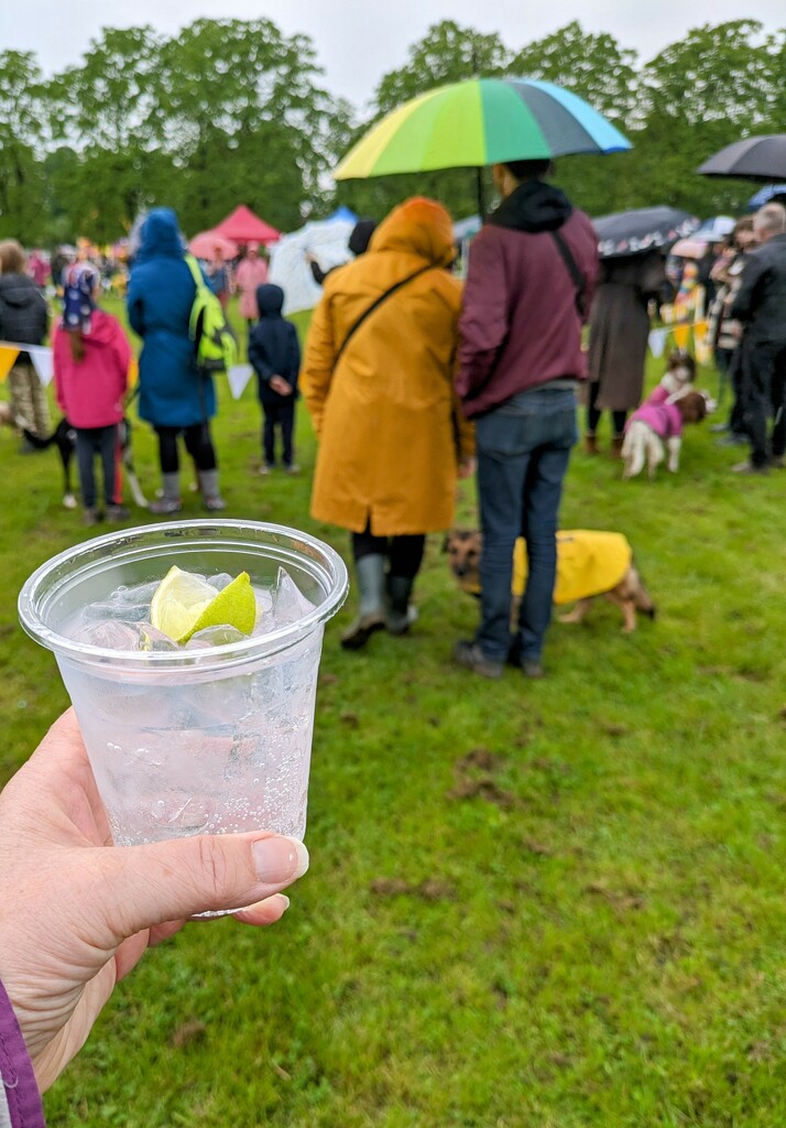 Gin in the rain  by boxplayer