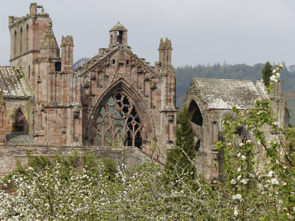 Melrose Abbey by susiemc