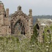 Melrose Abbey by susiemc