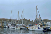 6th May 2024 - Small Boat Harbour