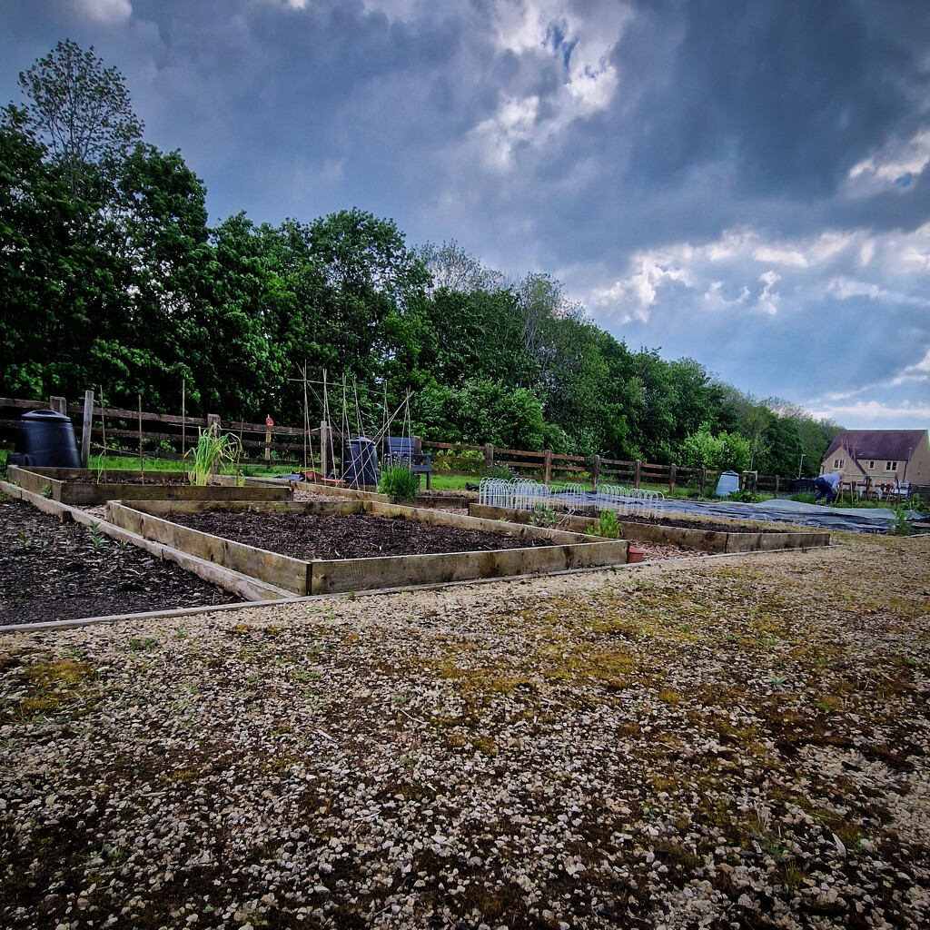 Monthly allotment picture  by andyharrisonphotos