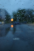 6th May 2024 - Rainy day
