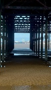 6th May 2024 - Under the Boardwalk 