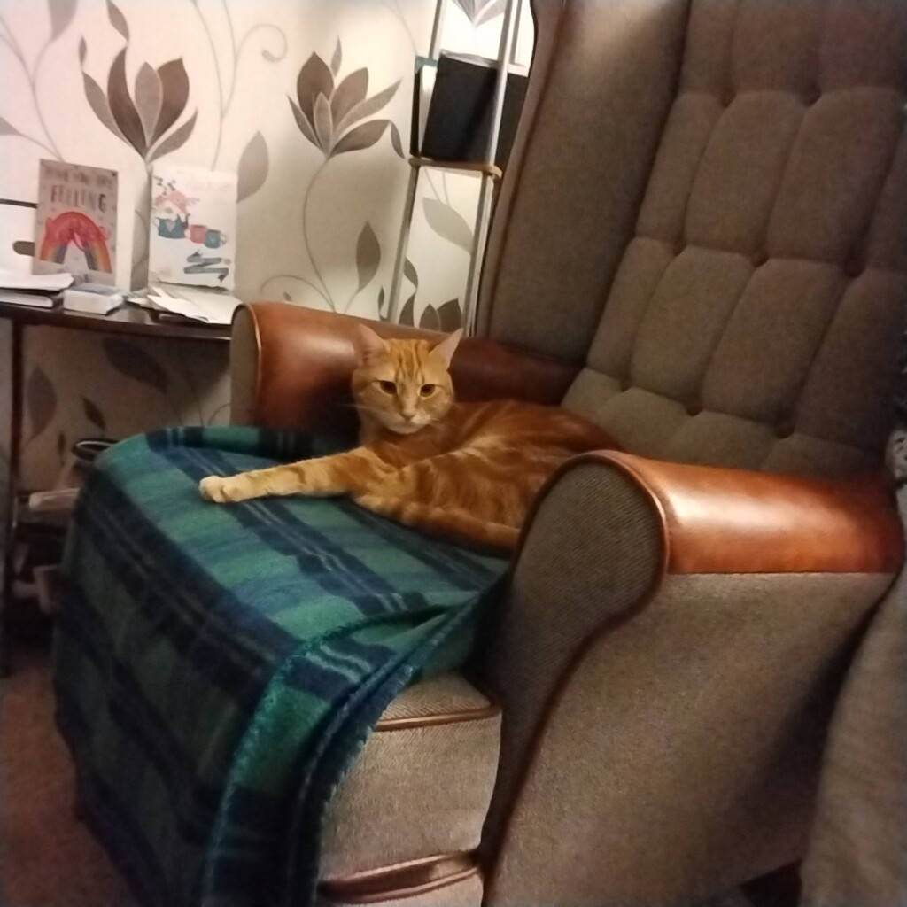 Hunter our ginger tom cat on his favourite armchair.  by grace55