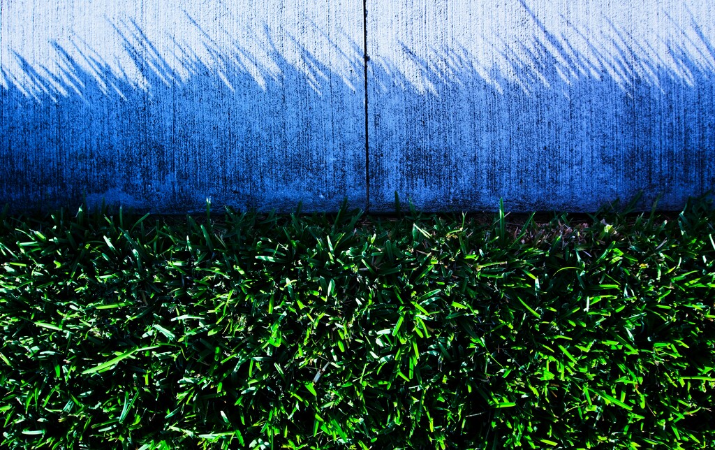 Grass Isn't Greener On The Other Side  by photohoot