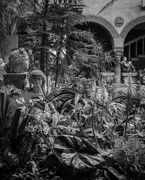 1st Mar 2024 - Isabella Gardner Stewart Museum Courtyard