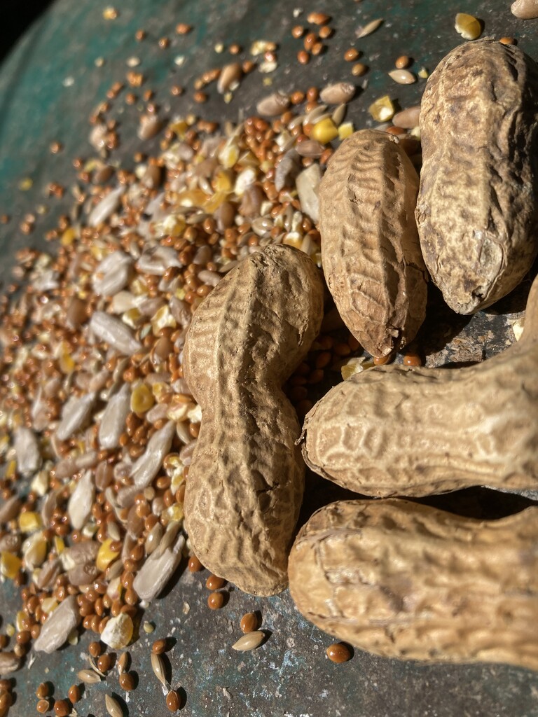 Half Seeds, Half Peanuts by spanishliz