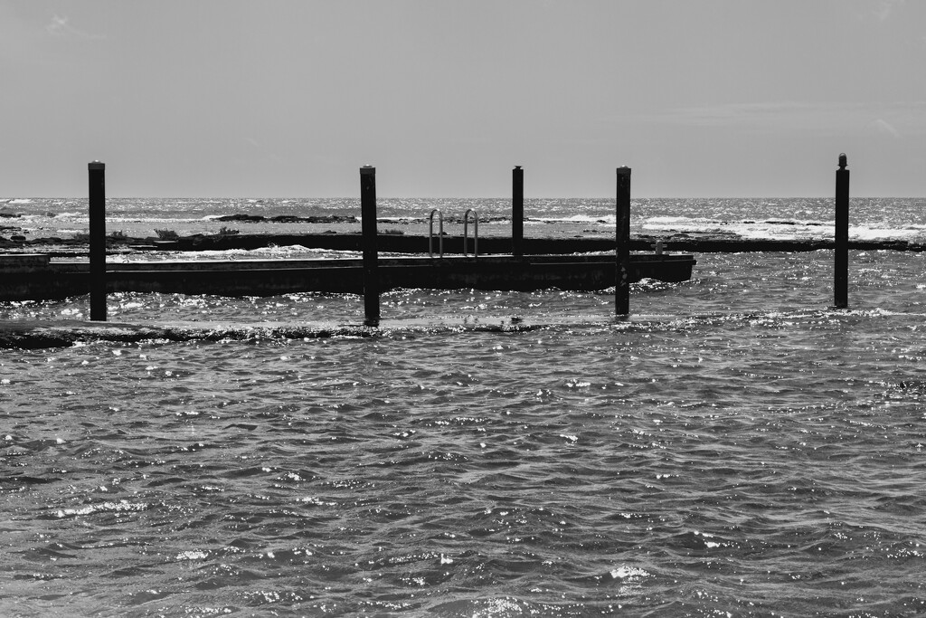 Tidal Pool Sentries by cocokinetic