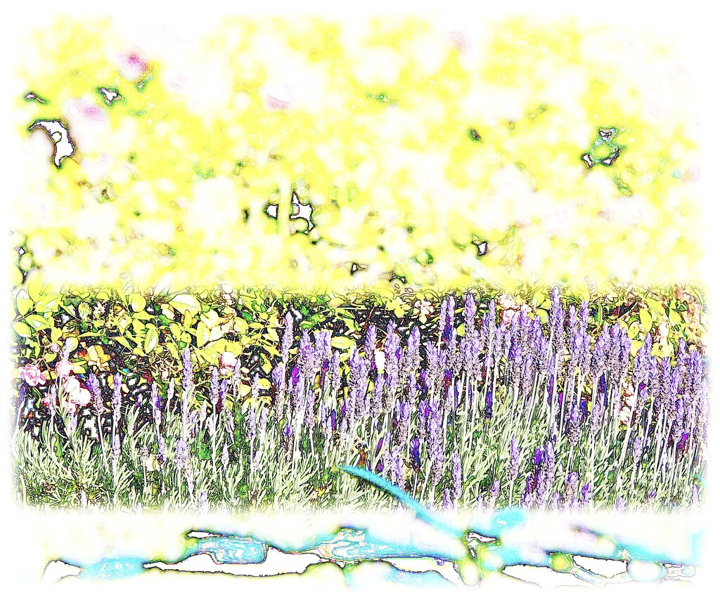 Lavender look by maggiemae