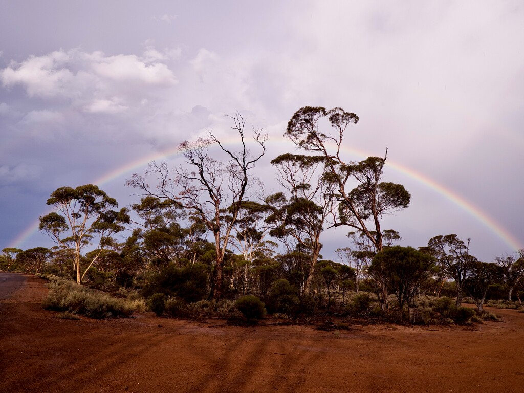 Rainbow At Boondi Lookout P5061629 by merrelyn