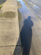 8th May 2024 - Puddles and Shadow