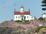 7th May 2024 - Spring at Battery Point