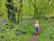 29th Apr 2024 - A delightful walk in the woods