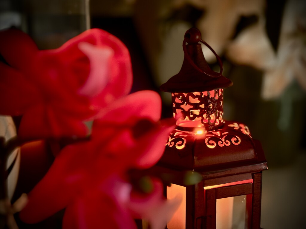 Red Lantern Glows by jmdeabreu