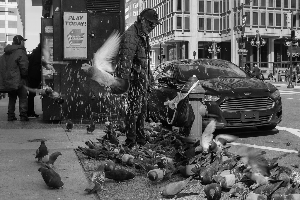 Feed the Pigeons by jyokota