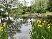 8th May 2024 - The pond