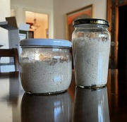 2nd May 2024 - Sourdough starter ready to go
