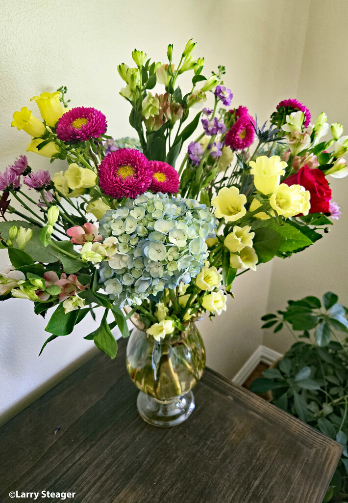 Friends Bouquet by larrysphotos