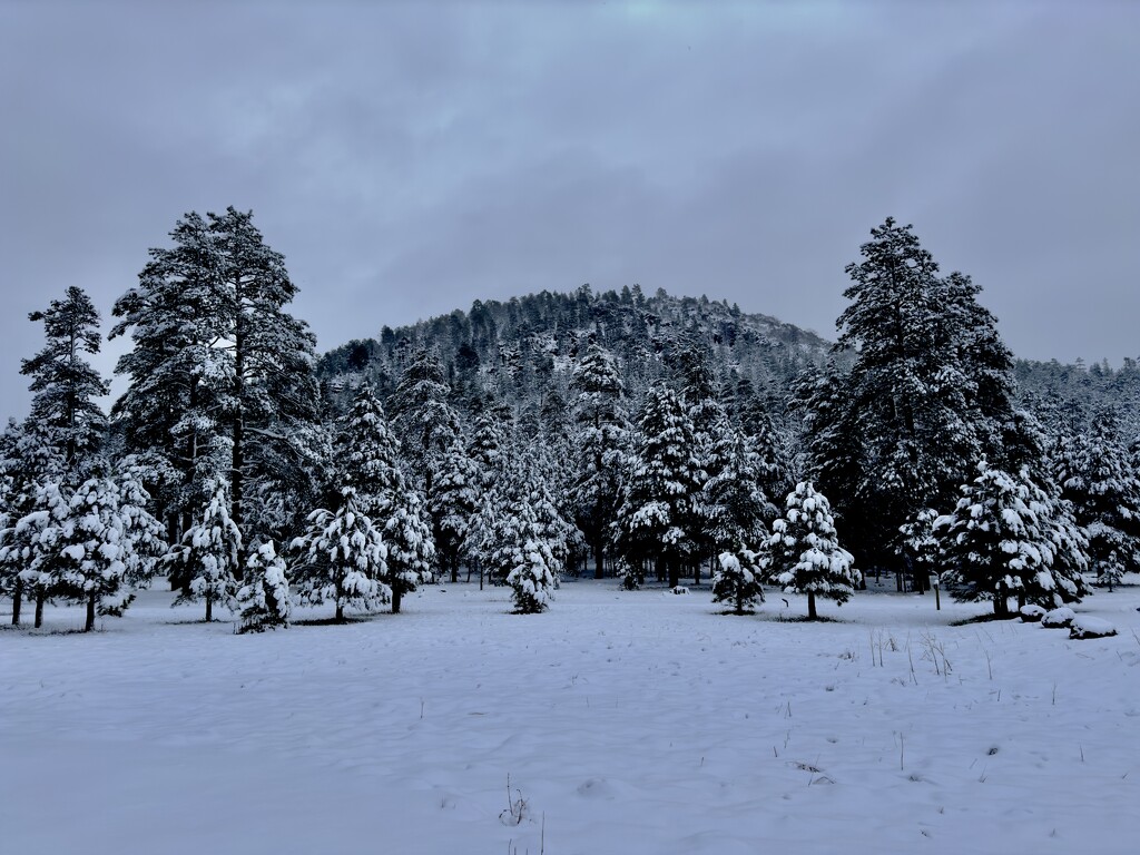 Snowy mountain by jeffjones