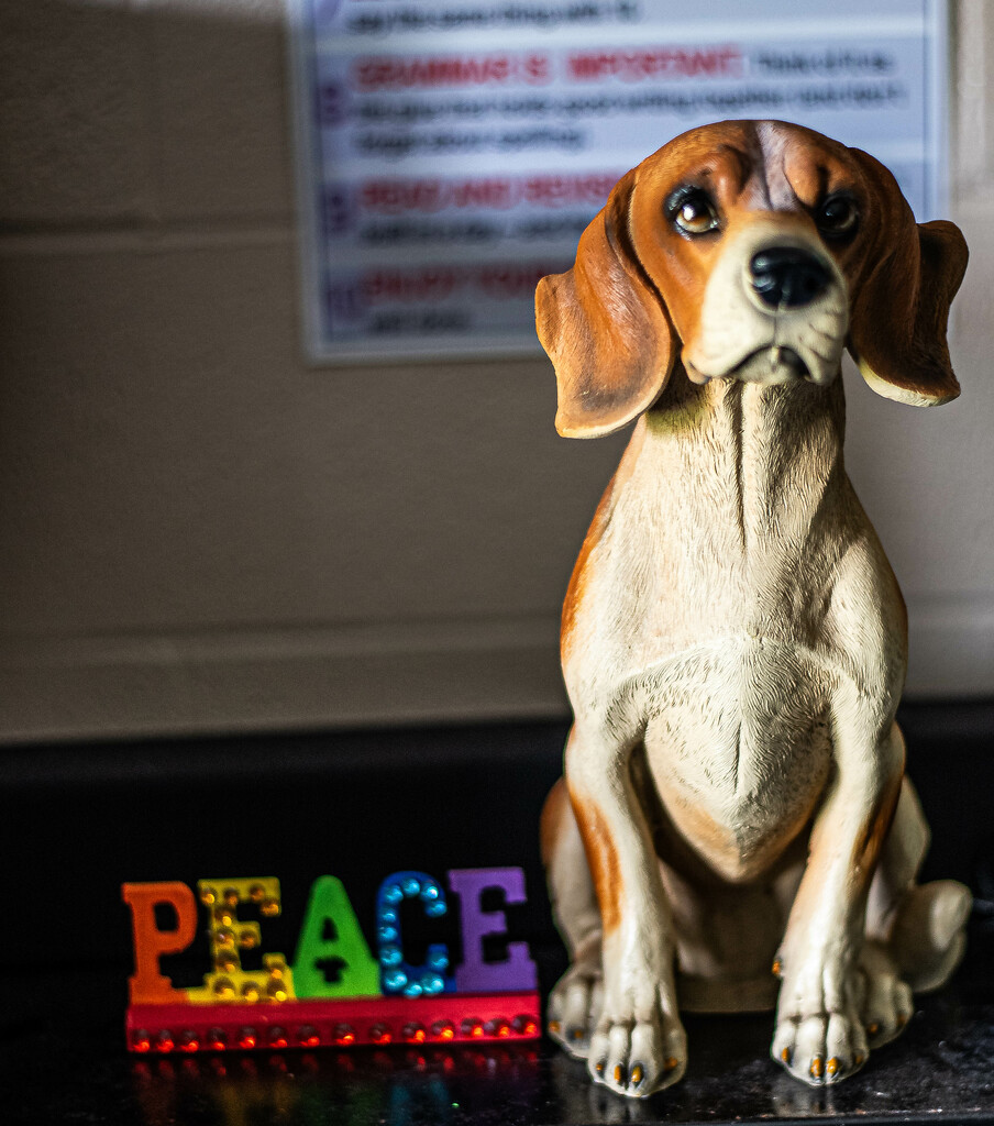 Peace Dog by darchibald
