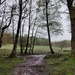 A wet walk today by roachling