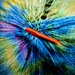 Crochet Swirl  by photohoot