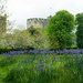 Camassias and castle