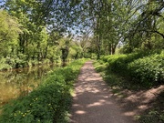9th May 2024 - A Walk Along the Canal