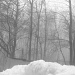 snow n fog BW by hjbenson