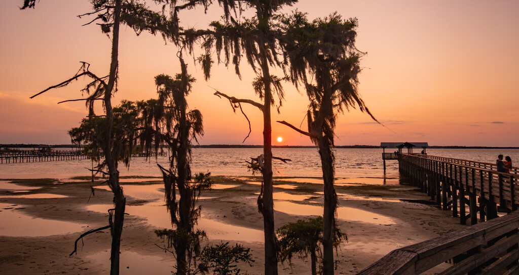 Sunset Through the Trees! by rickster549