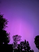 10th May 2024 - Aurora Borealis