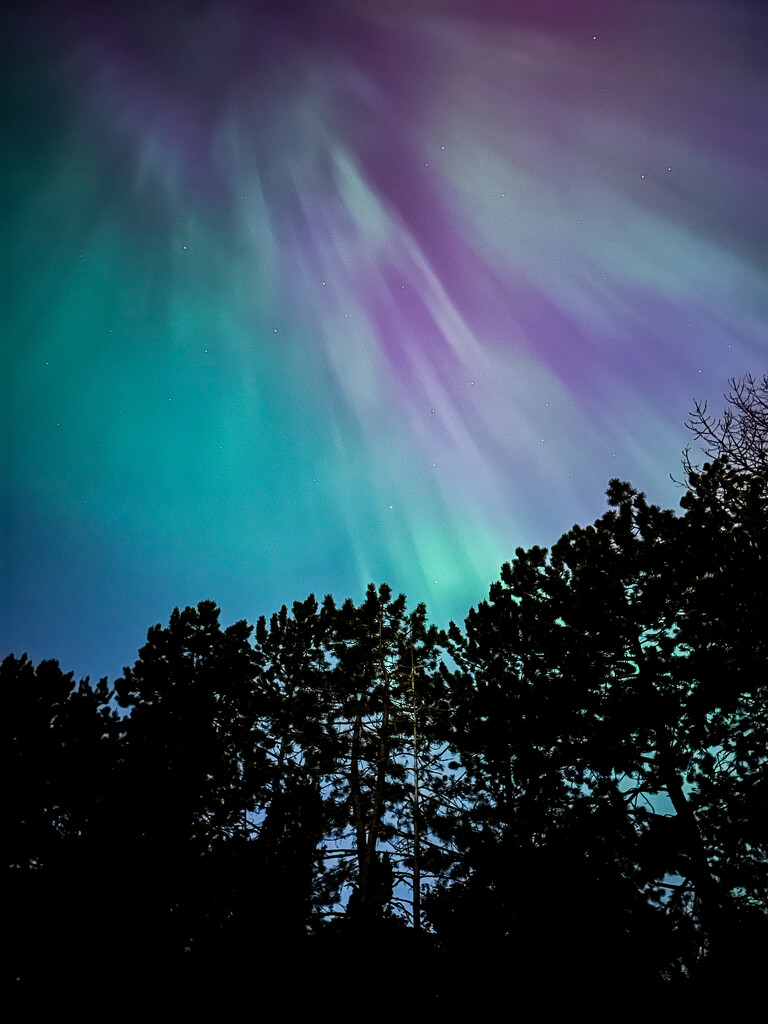 Aurora borealis  by cristinaledesma33