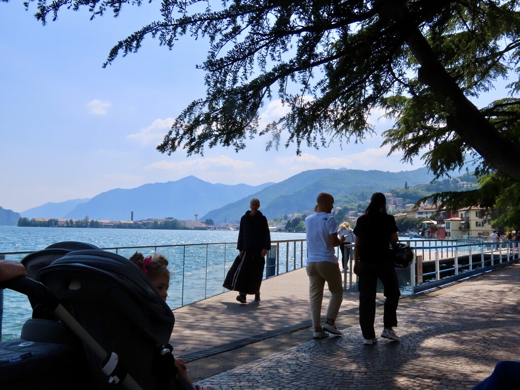 Interesting walking companions on beautiful Lake Iseo. by orchid99