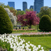 Boston Garden by danette