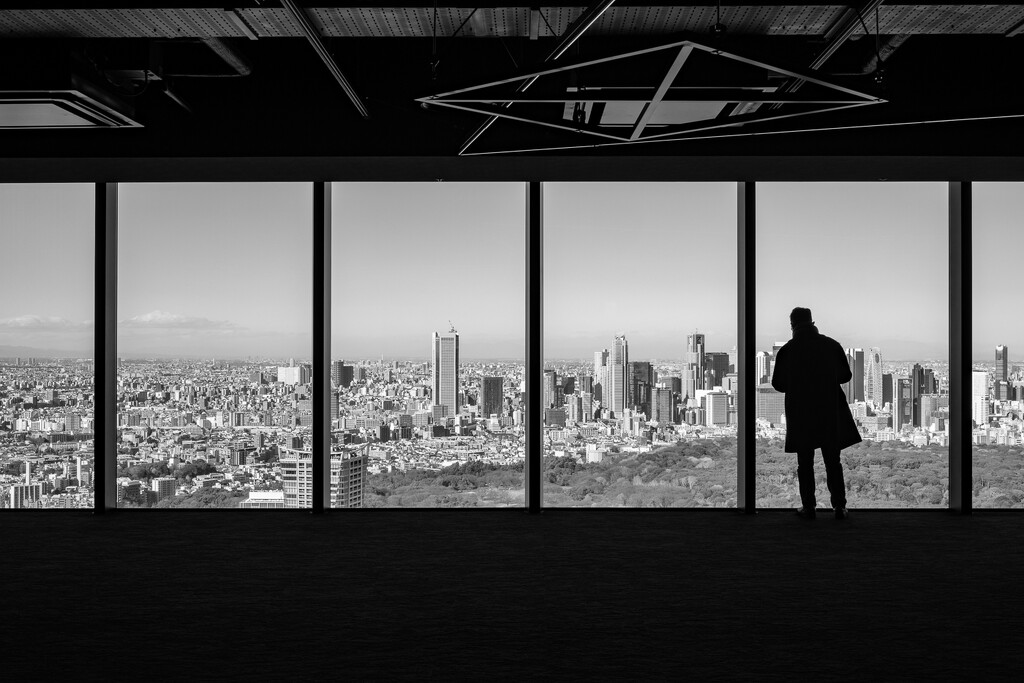 Gazing Out at Yoyogi Koen  by jyokota