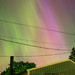 Northern lights… in my backyard?!