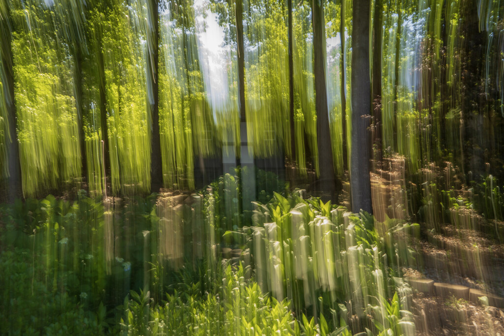 Backyard ICM by k9photo