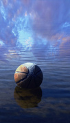 11th May 2024 - Final Portrait of a Basketetball