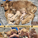 Lily had her Puppies!! by mariaostrowski