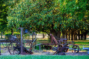 11th May 2024 - Old Farm Equipment