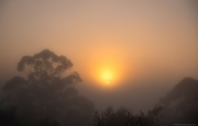 12th May 2024 - Foggy Sunrise
