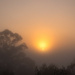 Foggy Sunrise by nickspicsnz