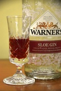 12th May 2024 - The Sloe Gin appears to be empty....