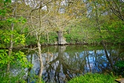 7th May 2024 - Reflections on the river Severn