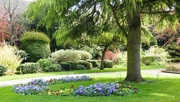 12th May 2024 - Spa Gardens, Ripon
