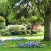 Spa Gardens, Ripon by fishers