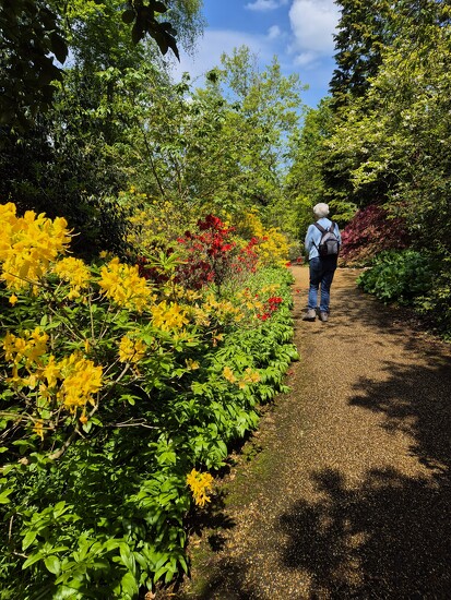 Saville Gardens Windsor by Terry Gibson · 365 Project