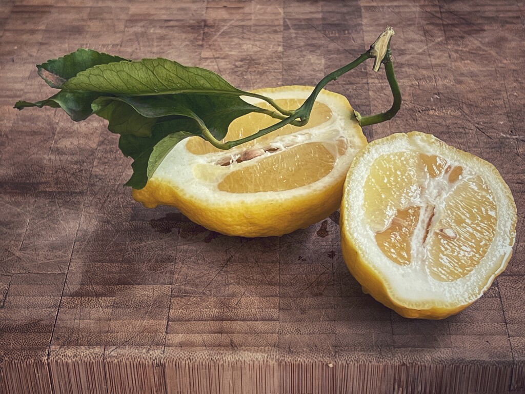 When life gives you lemons… by gaillambert