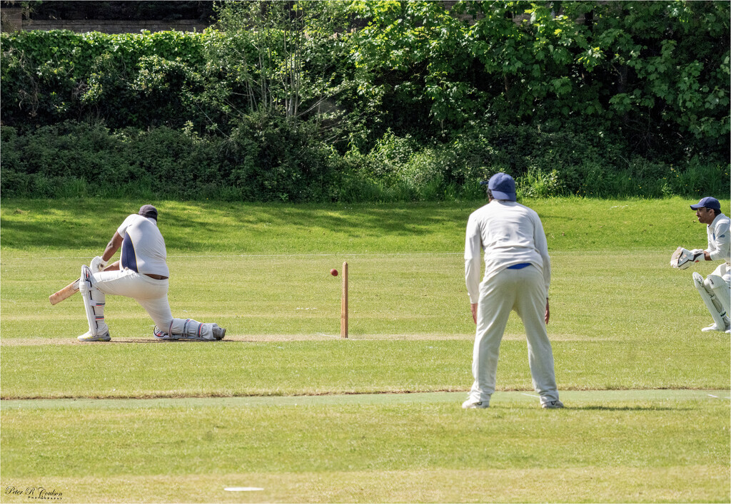 Cricket Match by pcoulson